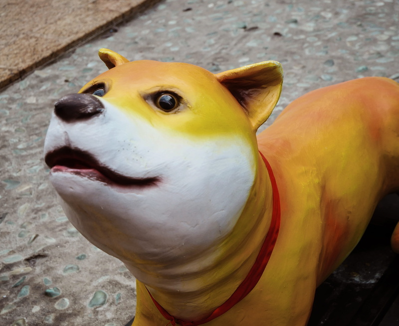 animal themes, close-up, statue, animal wildlife, parrot, one animal, asian dog, animals in captivity, vertebrate, high angle view, focus on foreground