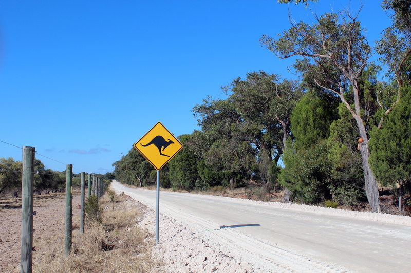 warning sign, tree, symbol, day, guidance, sunlight, sunny, wanderlust, sky, dom, communication, road, australia, transportation, shield, fence, attention