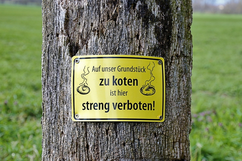 gassi, guidance, ban, Dog, western script, nature, information sign, information, message, land, danger, warning sign, focus on foreground, no people, Shield