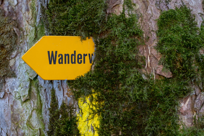 Signposts, tree trunk, day, nature, 4K, yellow, danger, Directory, growth, trail signs, outdoors, Switzerland, tree, information, trunk, text, sign, plant