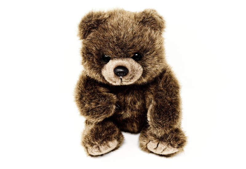 fabric, one animal, animal, 5K, cut out, studio shot, looking at camera, plush, innocence, sweet, animal themes, mammal, furry teddy bear, teddy, teddy bear
