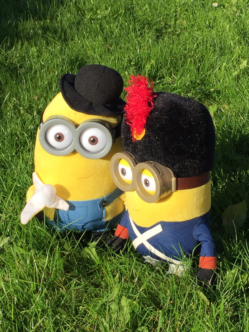 toy, plant, children toys, green color, soft toy, yellow, representation, outdoors, minions, animal representation, high angle view, day, stuffed animal