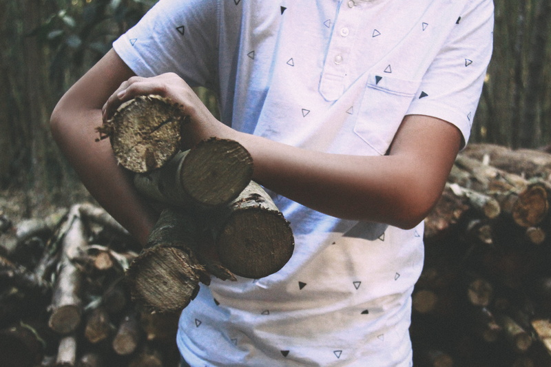 day, casual clothing, focus on foreground, 5K, bark, occupation, shirt, outdoors, lumber, cianorte, hand, real people, forest, one person, lifestyles