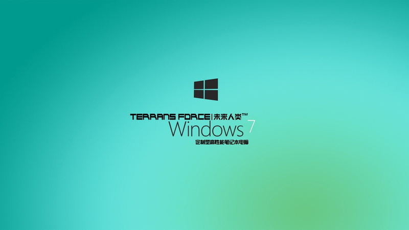 Windows 7, Terrans Force, 1080P