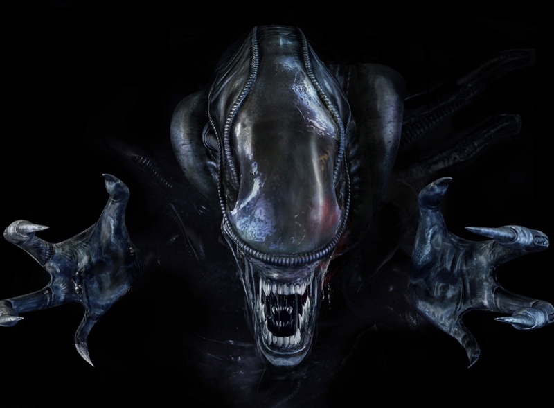 single object, skeleton, no people, bizarre, dark, 2013, surprise, creativity, Marines, black background, Colonial, close-up, fear, indoors, Games, mystery