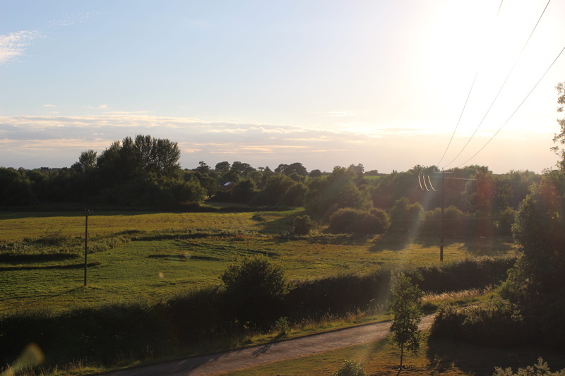 photography, scenics - nature, tree, outdoors, no people, garden, sunset, pathway, nature, sunray, wire, beauty in nature, tranquil scene, grass, landscape