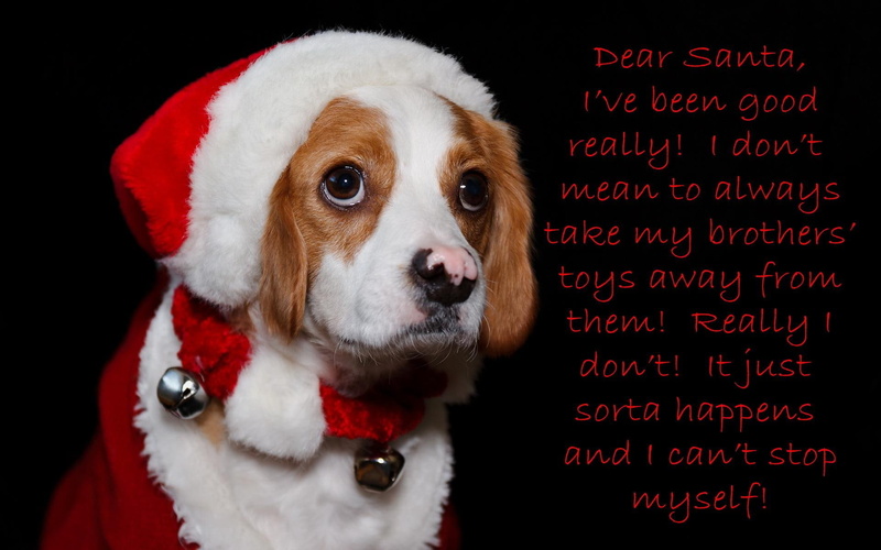 happy new year, lovely, magic, merry christmas, decorations, holidays, santa, new year, happy holidays, 1080P, dear