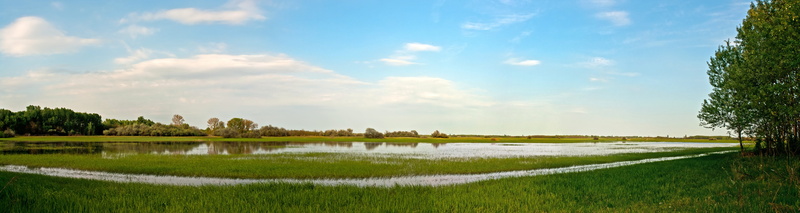 outdoors, wide, travel, wood, panoramic, land, field, sky, no people, lake, tree, plant, tranquility, grass, landscape, panorama, tranquil scene, day, water