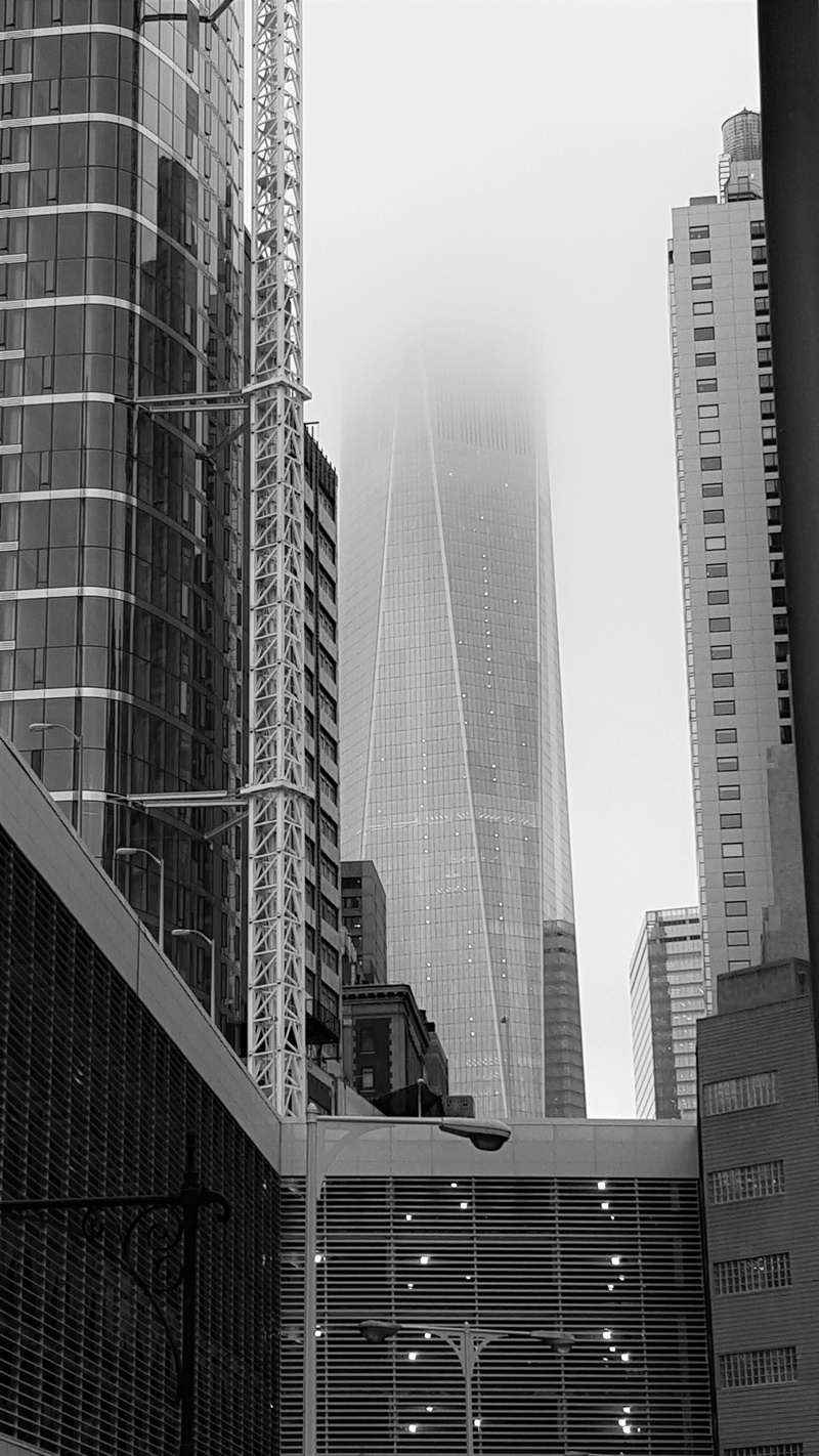 metropolis, city, outdoors, travel, skyscraper, urban, downtown, modern, built structure, nature, low angle view, building, residential district, manhattan