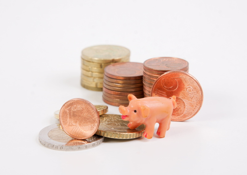 finance and economy, pig, piggy Bank, money, save, coins, wealth, currency, financial item, ceramic, business, investment, studio shot, finance, coin, cut out