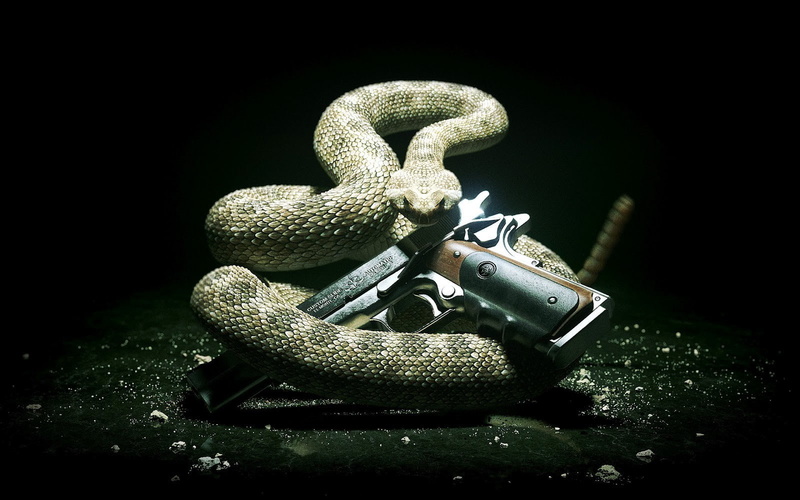 absolution, 720P, Hitman Absolution 2012, hitman