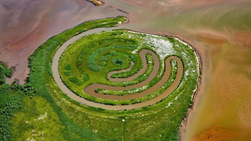 nature, lake, aerial view, Netherlands, trees, grass, landscape, 1080P, water, field, circle, plants