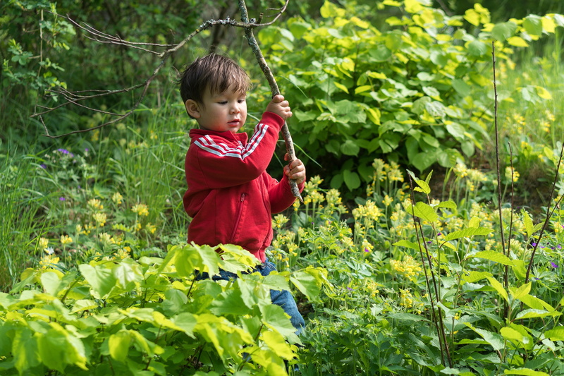 4K, day, nature, happiness, growth, happy, stick, childhood, casual clothing, leisure activity, joy, males, forest, green, boy, one person, active, running