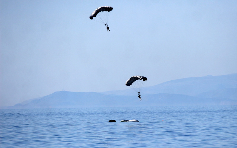 sky, blue, group of animals, motion, mid-air, two animals, drill, animal themes, animals in the wild, day, parachute, paratrooper, animal, animal wildlife
