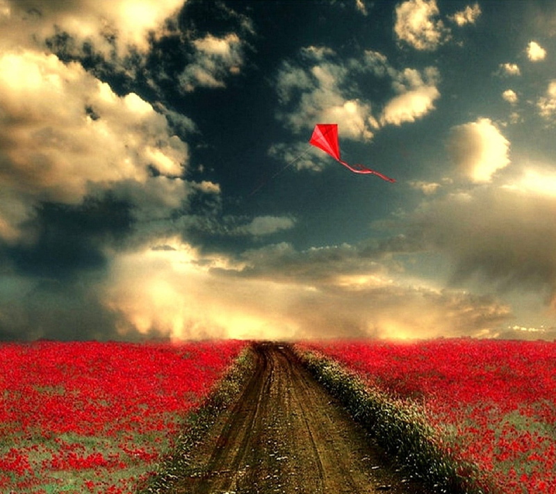 black, cloud - sky, freedom, environment, scenics - nature, outdoors, rural scene, direction, agriculture, 720P, digital art, painting, transportation