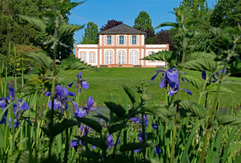 home, outdoors, no people, plant, beauty in nature, flower, 5K, darmstadt, flowerbed, home ownership, germany, prince-emil-garden, building exterior, building