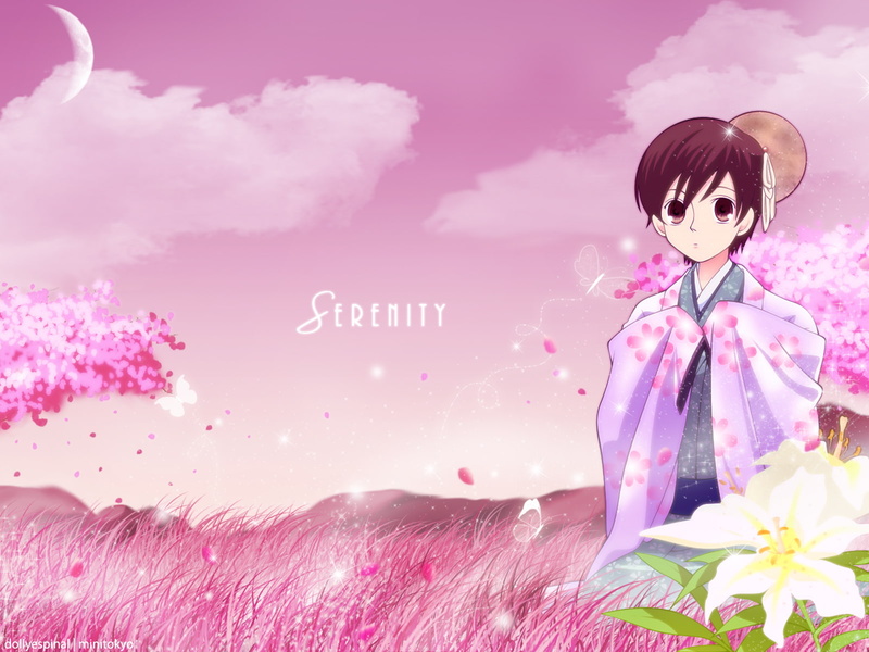 ouran, 720P, high, school, host, club