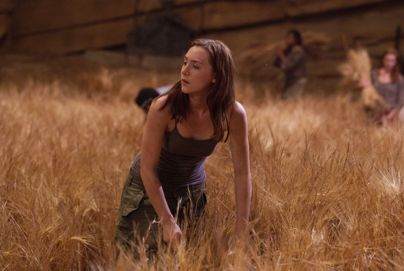 The Host (2013), Saoirse Ronan, 1080P, Movie