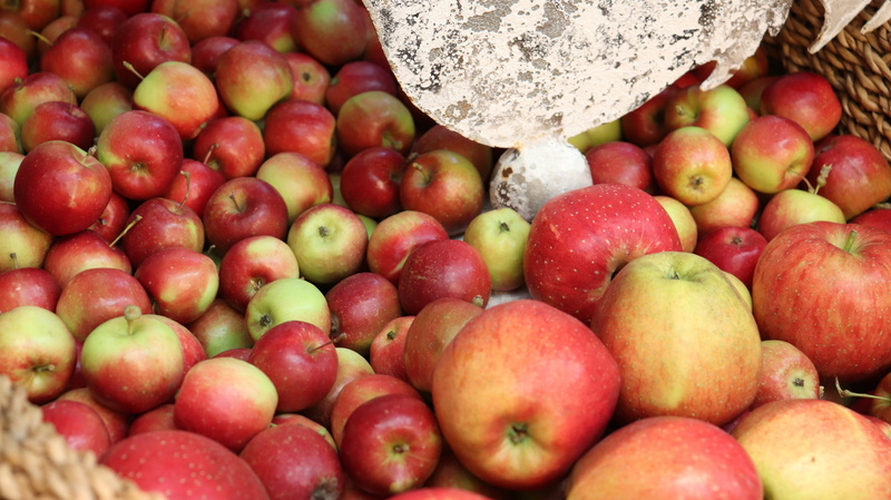 freshness, day, apple, for sale, korea farm, korea apple, sale, fruits, apple farm, hong as, large group of objects, close-up, fruit, mini and, choice