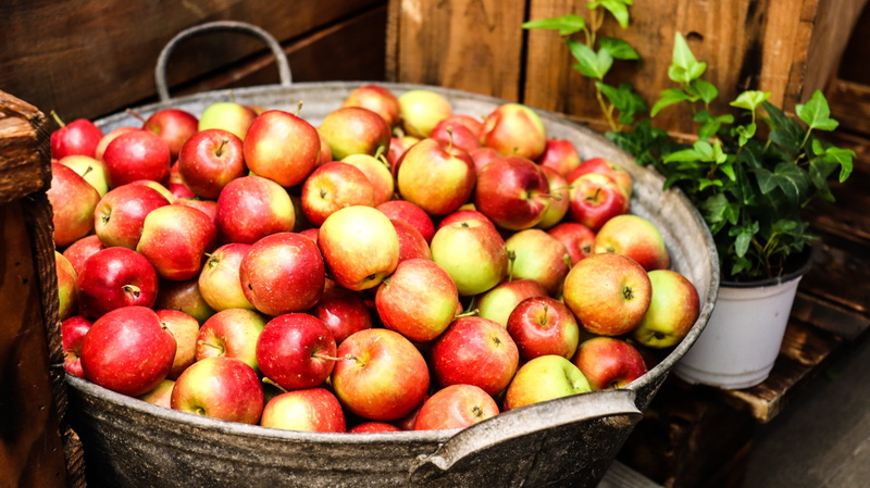 large group of objects, red, mini and, basket, wellbeing, hong as, no people, plant, farm produce, food, apple, asia apple, ripe, close-up, fruits, apple farm