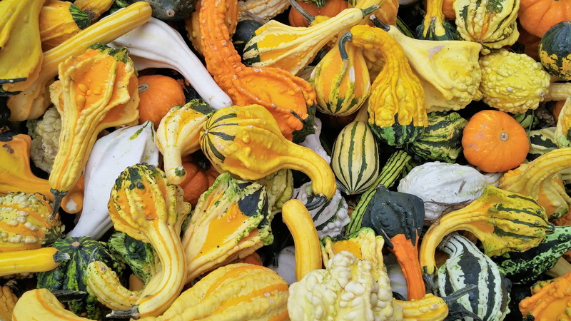 agriculture, retail display, choice, market, retail, high angle view, nature, yellow, market stall, autumn, outdoors, orange color, food and drink, farm