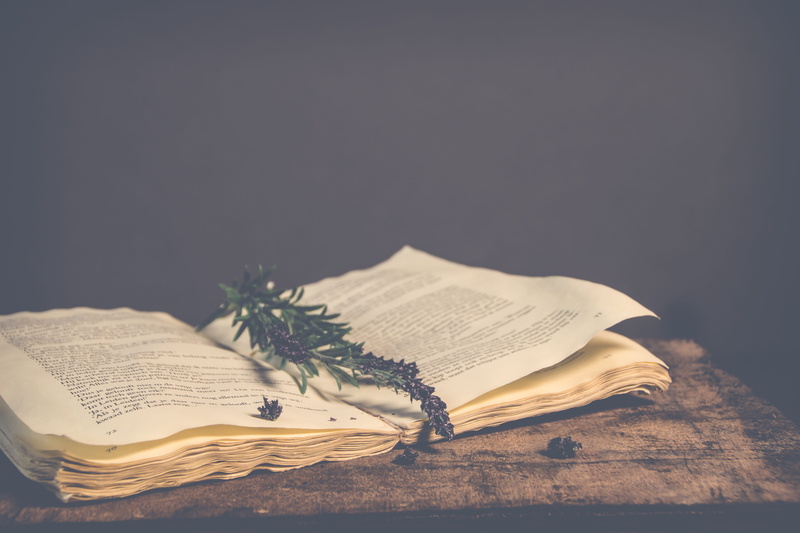 black background, book, open book, wisdom, publication, vintage, no people, 5K, learning, paper, indoors, old, open, retro, table, religion, reading, education