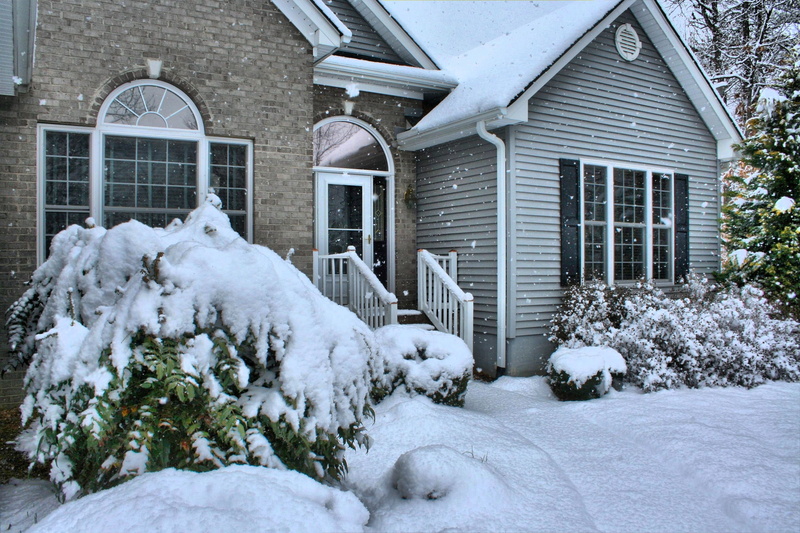 cold, plants, architecture, snowy, Snowfall, nature, white color, frosty, Front, Door, Winter, building, House, outdoors, tree, extreme weather, residential Building