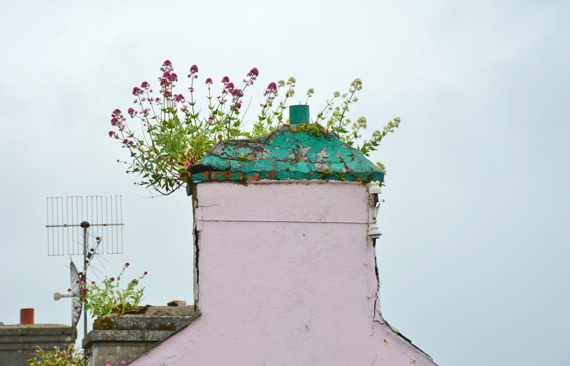 architecture, Fireplace, sky, color, outdoors, Old, Chimney, flower pot, chimney cover, wall - building feature, flower, vulnerability, green color, heat