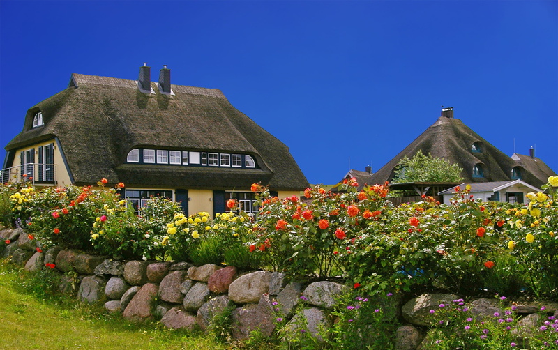 rest, clear sky, built structure, fries wall, residential district, memory, growth, rose hedge, romance, building exterior, Rügen Island, the past, thatched roof