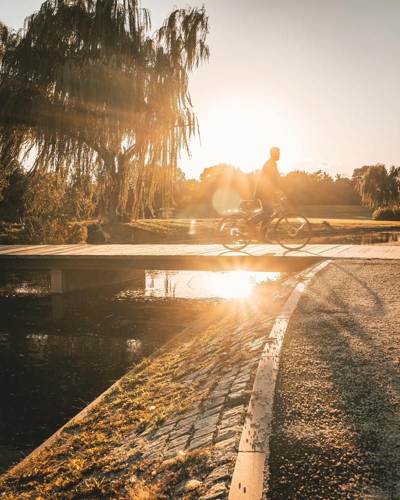 riding, bike, asphalt, lifestyles, sunset, human, sun, flare, lens flare, full length, plant, men, vehicle, one person, path, reflection, walkway, 4K