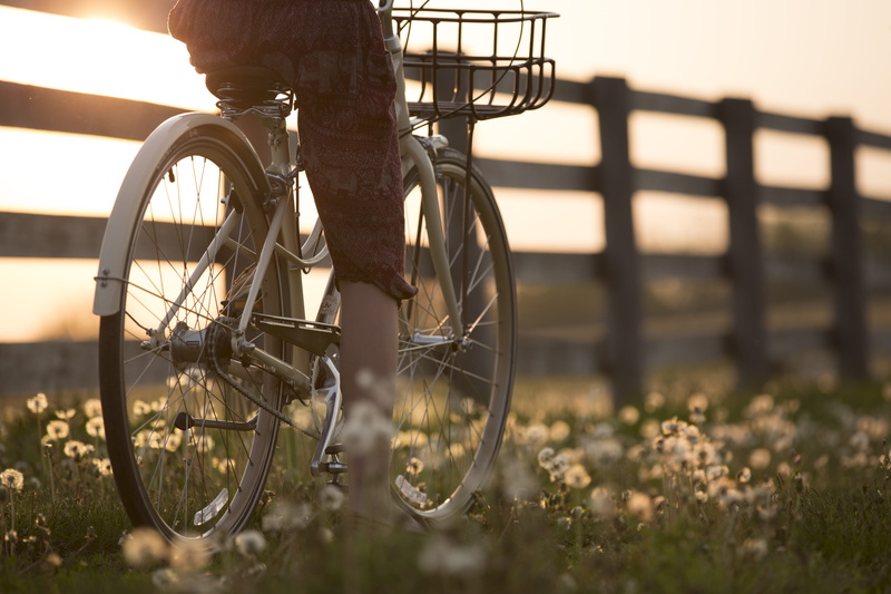 sunlight, golden hour, mode of transportation, tire, focus on foreground, no people, outdoors, landscape, city, biking, stationary, travel, metal, sunset