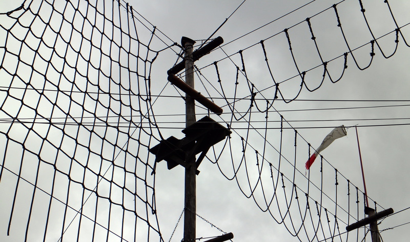 adventure, day, voltage, climbing forest, overcoming, team spirit, 4K, high ropes course, real people, forest ropes, connection, outdoors, men, complexity