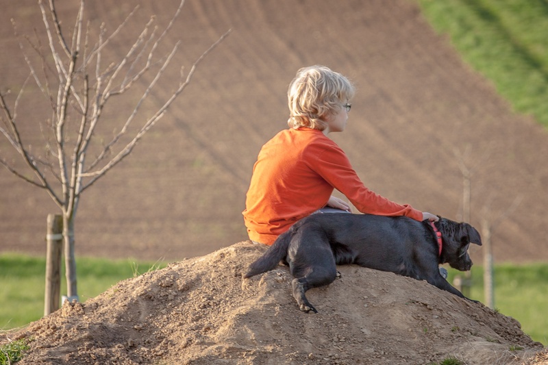 pet, rock - object, outdoors, casual clothing, childhood, friendship, sitting, love for animals, dog, mammal, one animal, child, partner, hairstyle, one person