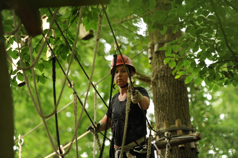 leisure activity, casual clothing, young adult, plant, climbing park, courage, front view, high ropes course, day, standing, crown, nature, overcoming