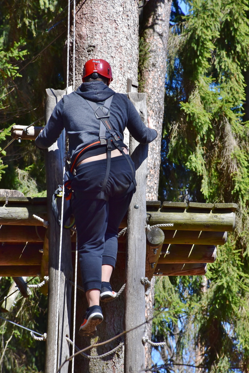 test of courage, forest climbing park, drex, climbing park, woven, team spirit, courageous, station, exhausting, balance, real people, men, built structure