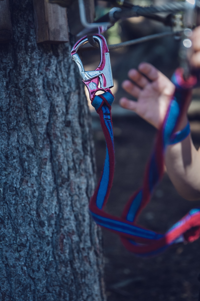 body part, dangerous, forest, focus on foreground, climb, human body part, adult, day, nature, climbing forest, fun, range of motion, test of courage, ropes course