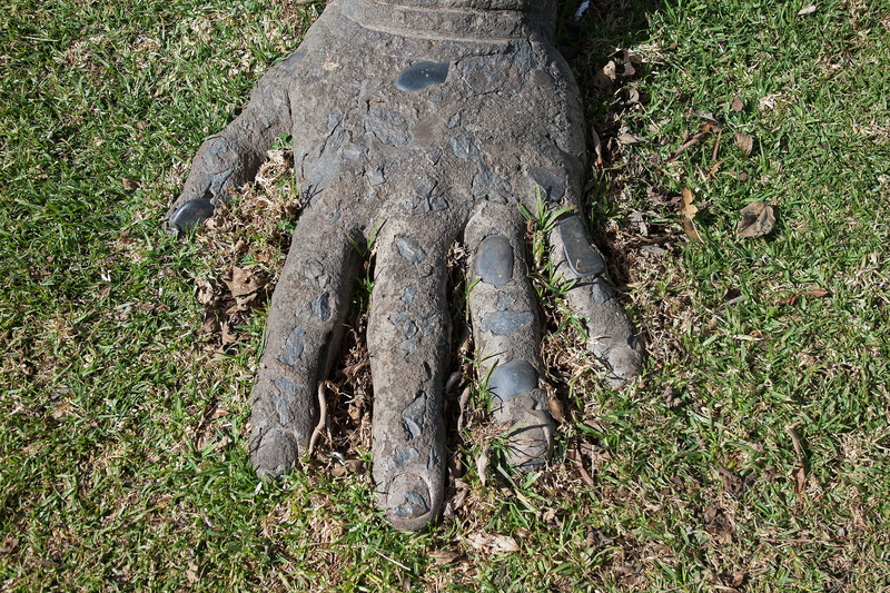 Art, dirt, growth, sunlight, animal, no people, high angle view, day, vertebrate, animal wildlife, Figure, grass, Statue, rough, animal themes, lawn, tree