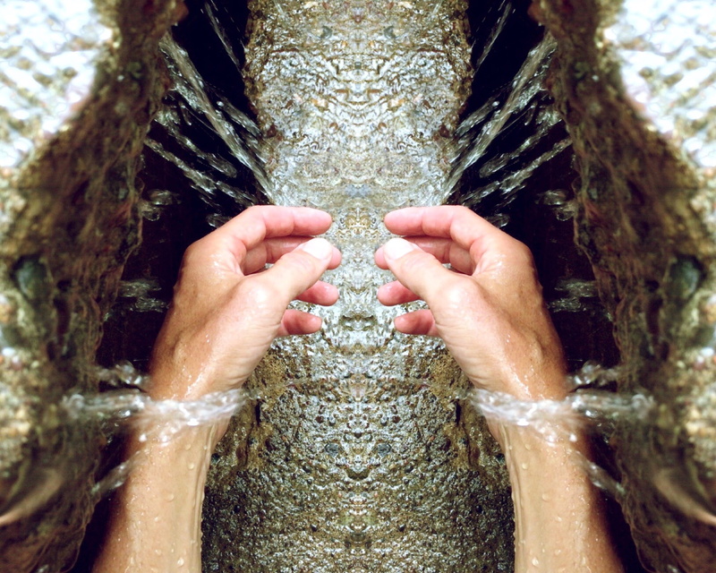 washing, hands, leisure activity, cleaning, trunk, plant, human body part, 2K, tree trunk, textured, water, day, tree, human hand, body part, focus on foreground