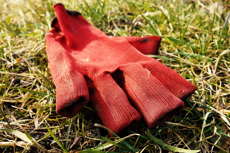 protection, work, hand, beauty in nature, red, leaf, green color, day, gardening, nature, vulnerability, field, flower, glove, plant part, sunlight, 5K