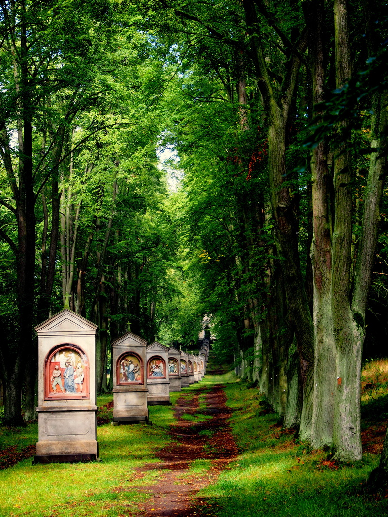 mountains, footpath, land, monument, christianity, the way forward, direction, summer, grass, architecture, czech republic, green color, 4K, nature, tree trunk