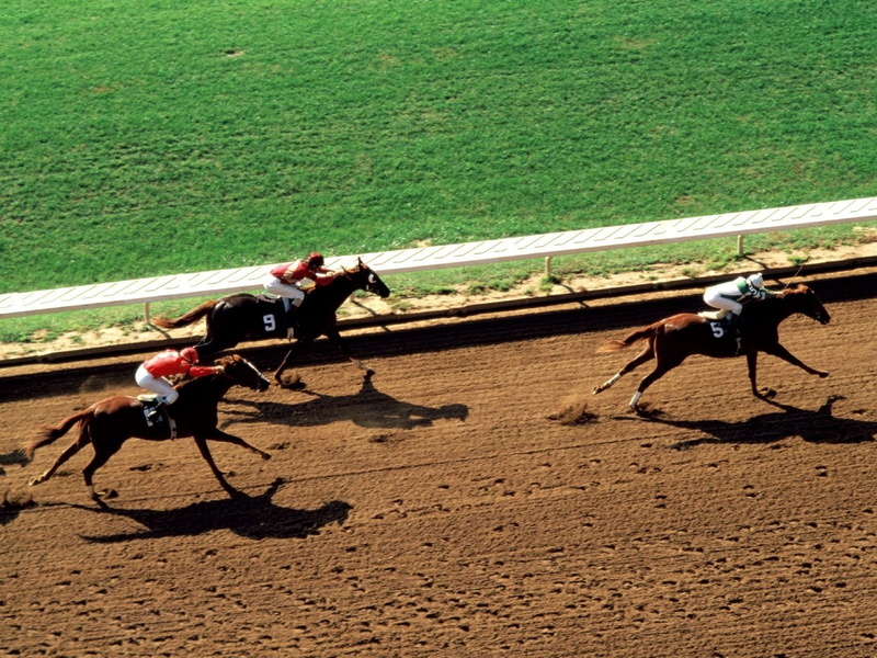 720P, Racing, Horse Racing