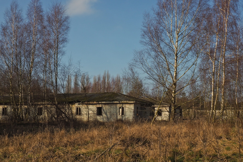 nature, building exterior, outdoors, forget, building, barracks, field, deterioration, birch, dilapidated, no people, day, plant, forgotten places, accommodation