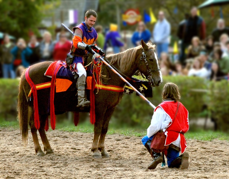 focus on foreground, just noticed, riding, horse, 2K, animal wildlife, outdoors, vertebrate, herbivorous, day, to, pets, replace picture, people, domestic