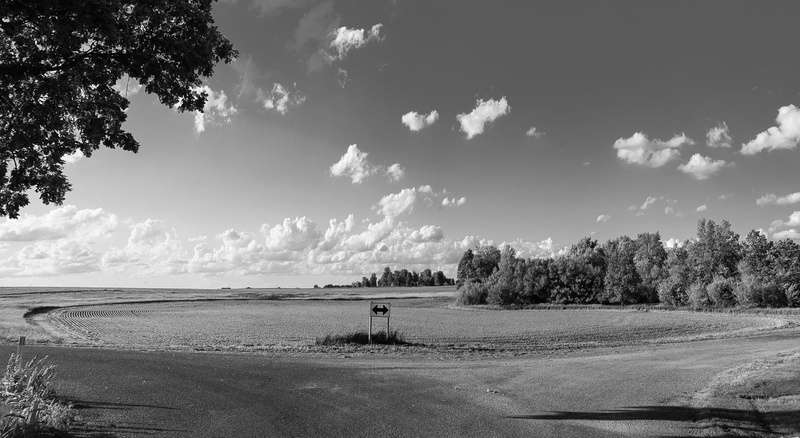 tree, which way, Way, nature, city, cloud - sky, blank and white, beauty in nature, travel, Direction, architecture, 1080P, road, environment, beach, water