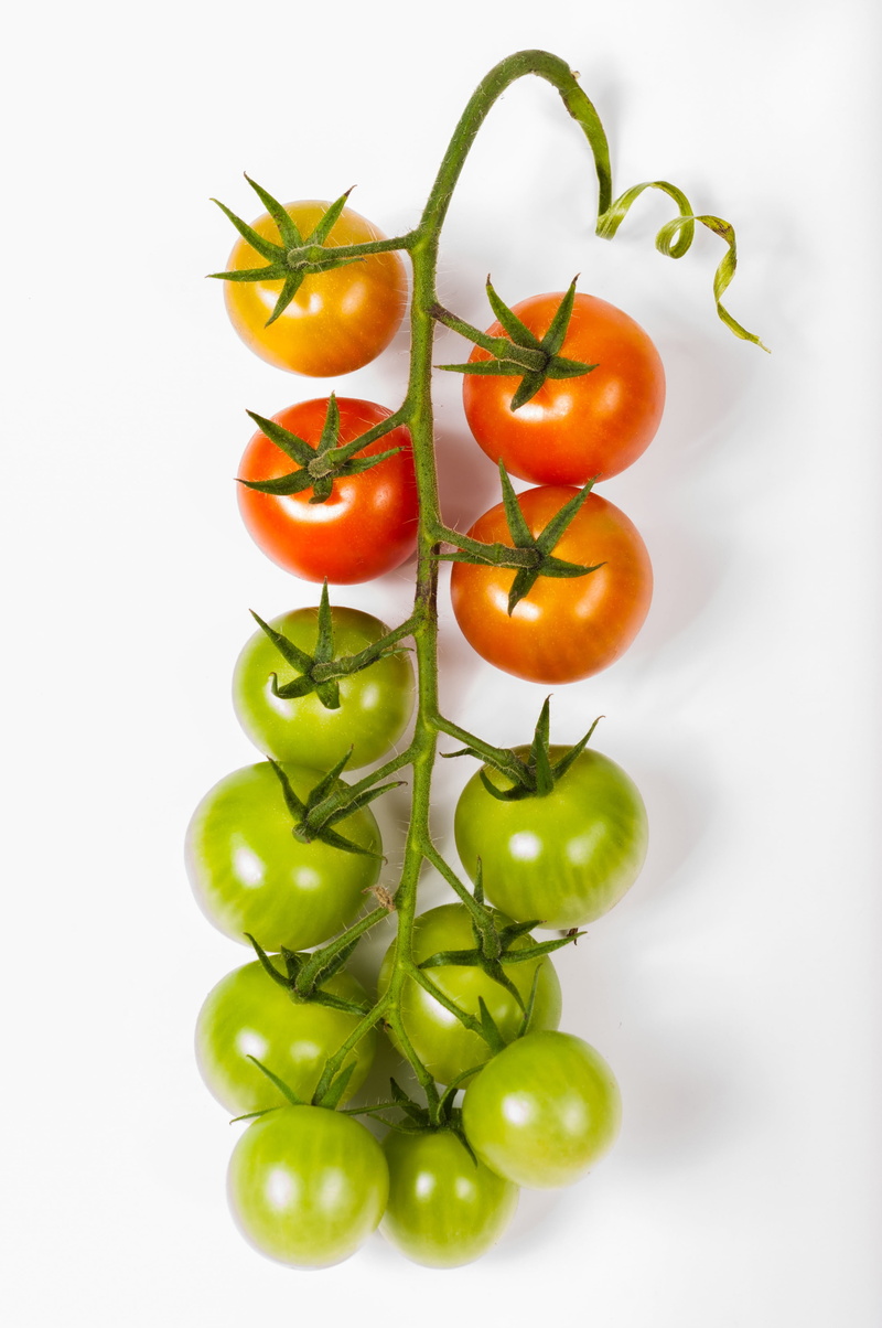 tomato, nutrition, fresh, green, red, white, group of objects, nature, raw food, fruit, organic, ripe, ecological, natural, tomatoes, wellbeing, health