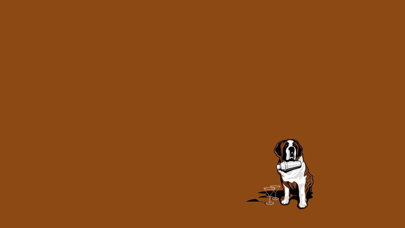 domestic, studio shot, adult, colored background, mammal, simple background, illustration, one animal, copy space, balance, front view, saint, orange color