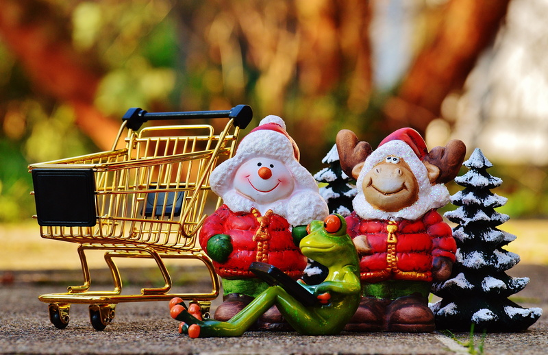 shopping basket, food, day, purchasing, focus on foreground, list, fruit, claus, toy, metal, close-up, human representation, figurines, freshness, order