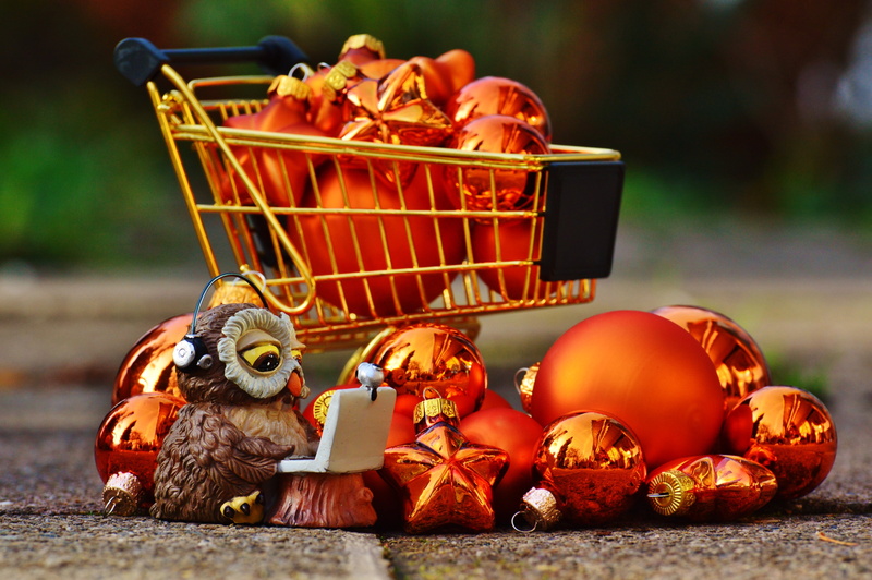 autumn, order, funny, food and drink, focus, animal wildlife, shopping list, food, healthy eating, trolley, 4K, online shopping, lot, purchasing, transport