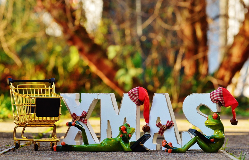 multi colored, day, plant, large group of objects, basket, candy, creativity, christmas, flower, list, close-up, trolleys, representation, Shopping Cart
