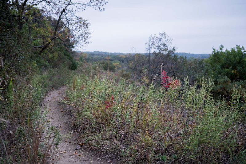 non-urban scene, green color, hike, sky, field, united states, outdoors, council bluffs, 5K, tranquil scene, iowa, grass, land, path, flag, day, dirt path